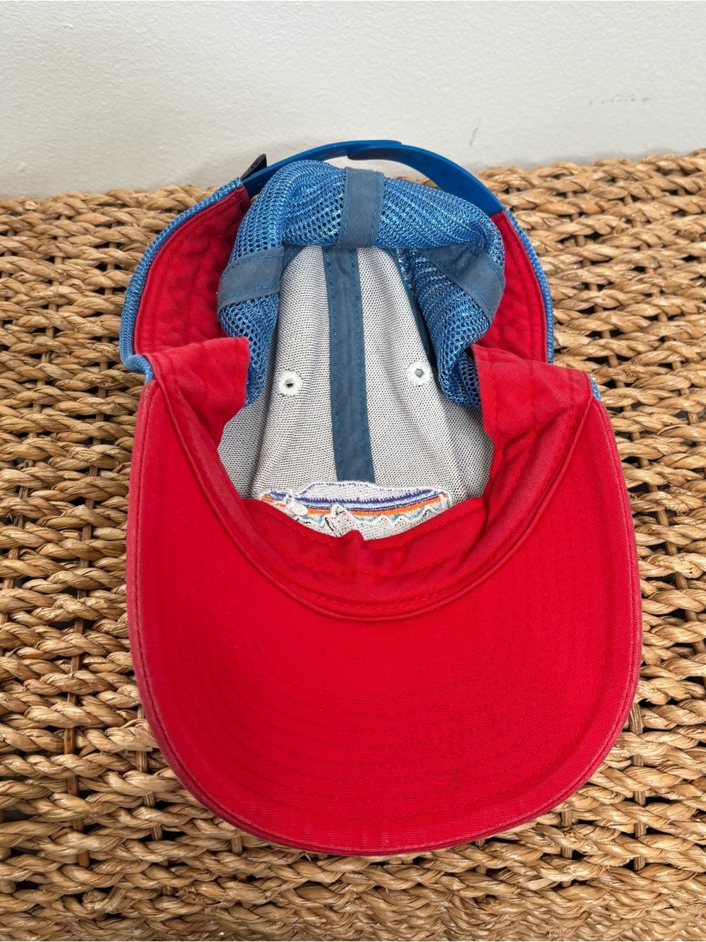 Patagonia Fitz Roy Bison Trucker Hat - Picture 4 of 8